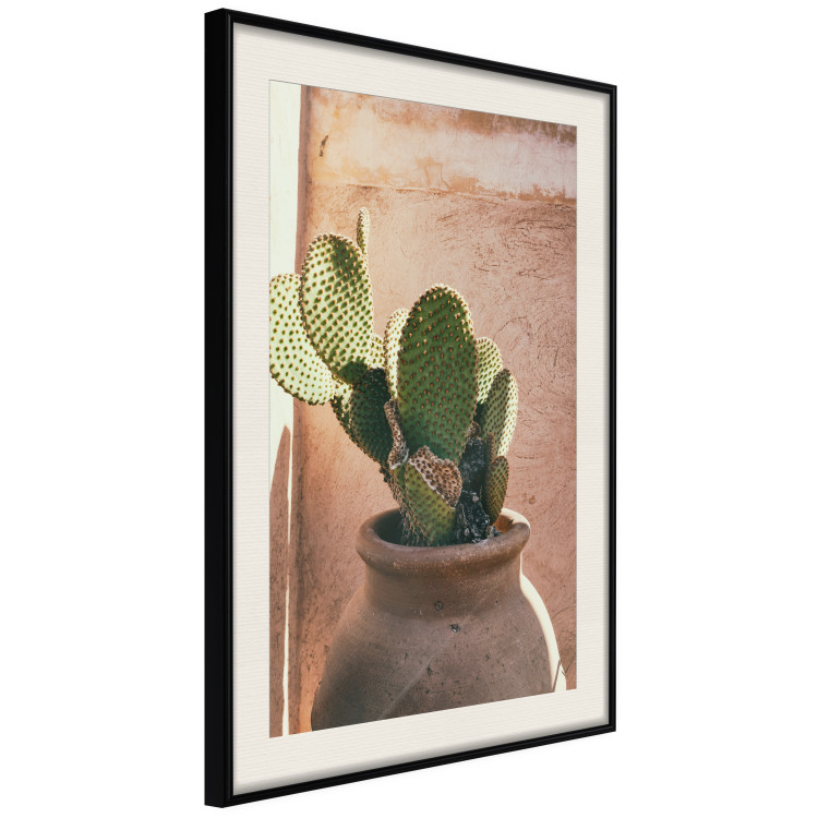 Wall Poster Cactus in a Pot - succulent in a pot against the bright sunlight 134751 additionalImage 2
