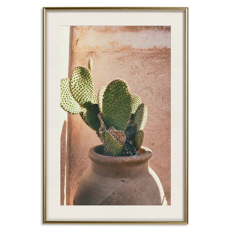 Wall Poster Cactus in a Pot - succulent in a pot against the bright sunlight 134751 additionalImage 20