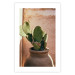 Wall Poster Cactus in a Pot - succulent in a pot against the bright sunlight 134751 additionalThumb 25