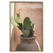 Wall Poster Cactus in a Pot - succulent in a pot against the bright sunlight 134751 additionalThumb 17