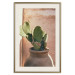Wall Poster Cactus in a Pot - succulent in a pot against the bright sunlight 134751 additionalThumb 20