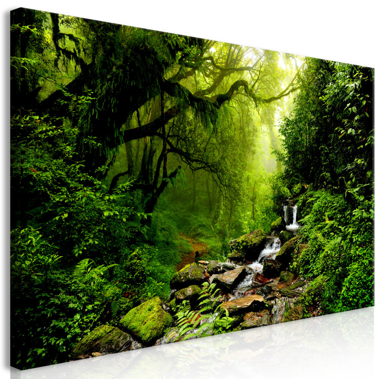 Large canvas print Enchanted Backwoods II [Large Format] 137651 additionalImage 3