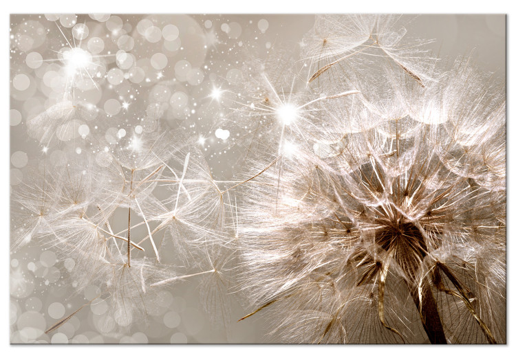 Canvas In the Glow of Dandelion (1-piece) - flower seeds carried by the wind 144051