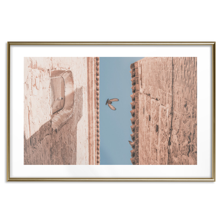 Wall Poster City Bird - Pigeon Flying Between Two Buildings 145351 additionalImage 24
