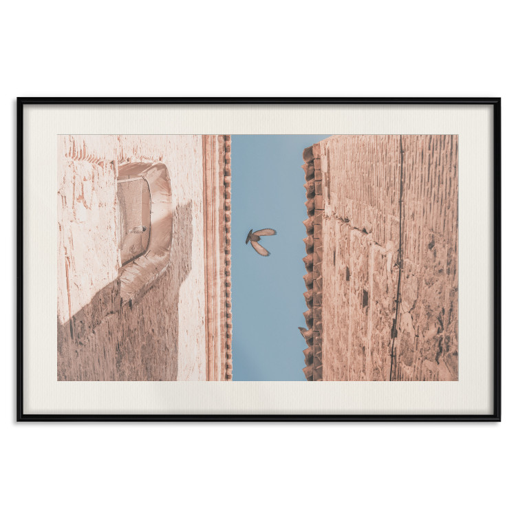 Wall Poster City Bird - Pigeon Flying Between Two Buildings 145351 additionalImage 27