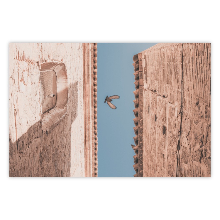Wall Poster City Bird - Pigeon Flying Between Two Buildings 145351