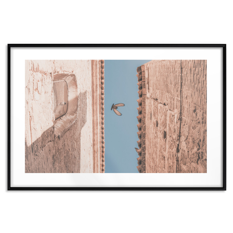 Wall Poster City Bird - Pigeon Flying Between Two Buildings 145351 additionalImage 25