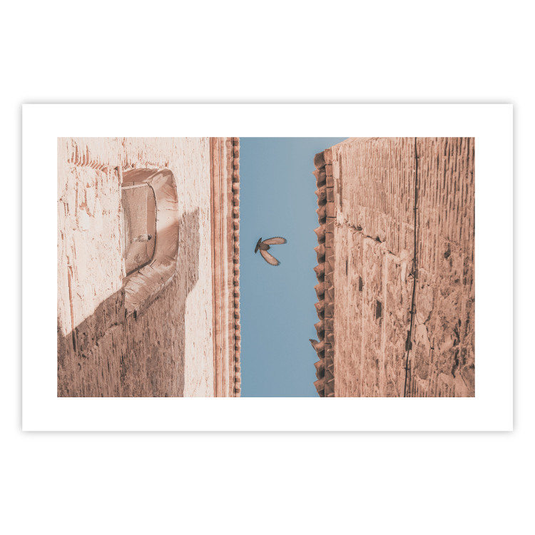 Wall Poster City Bird - Pigeon Flying Between Two Buildings 145351 additionalImage 22
