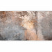 Photo Wallpaper Natural Wall - Decorative Surface in Warm Tones 146451 additionalThumb 1