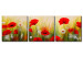 Canvas Art Print Poppies and Daisies (3-piece) - Colourful meadow of flowers with a dew effect 48651