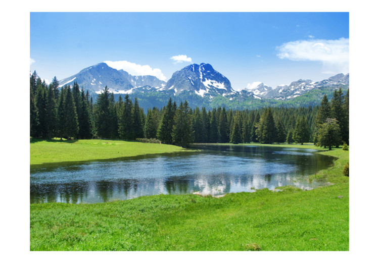 Wall Mural Durmitor National Park Landscape - mountain landscape with forest 59951 additionalImage 1