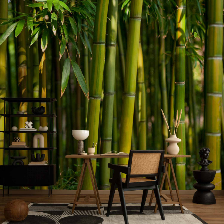 Wall Mural Asian bamboo forest 61451 additionalImage 4