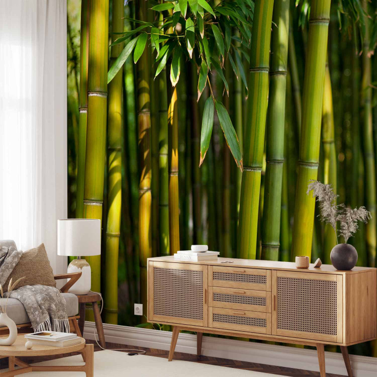 Wall Mural Asian bamboo forest 61451