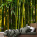 Wall Mural Asian bamboo forest 61451 additionalThumb 2