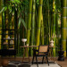 Wall Mural Asian bamboo forest 61451 additionalThumb 4