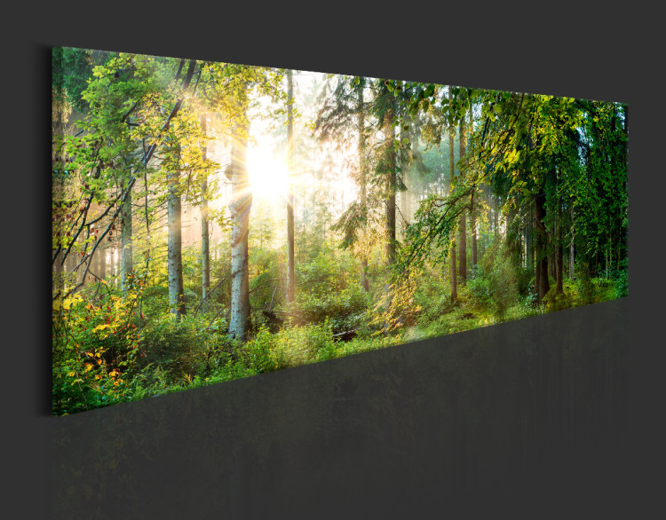 Acrylic print Forest Shelter [Glass] 92651 additionalImage 6