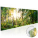 Acrylic print Forest Shelter [Glass] 92651