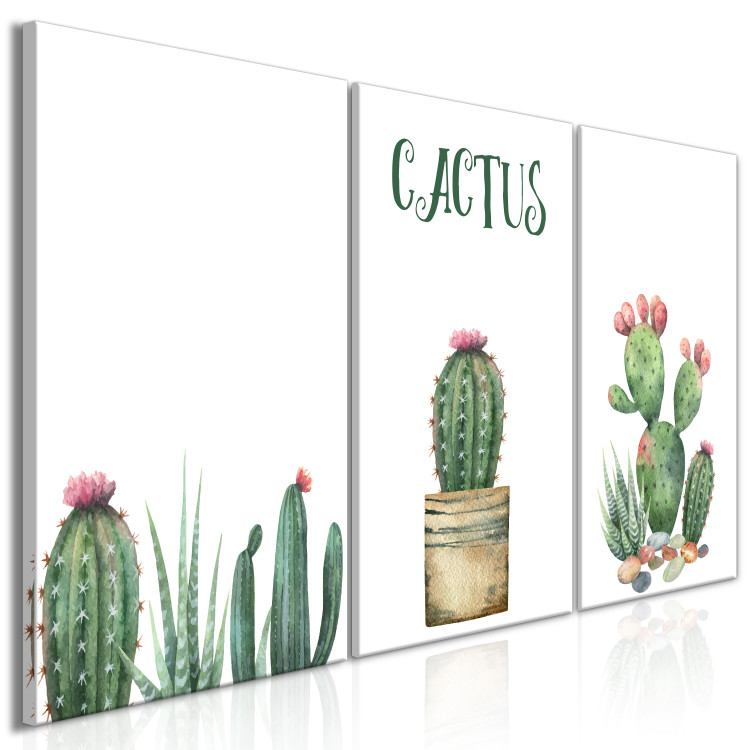 Canvas Art Print Three Cacti - Simplified, cheerful graphics of green plants 108561 additionalImage 2
