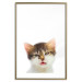 Poster Annoyed cat - white-brown kitten with a funny expression on its face 114961 additionalThumb 14