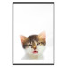 Poster Annoyed cat - white-brown kitten with a funny expression on its face 114961 additionalThumb 15