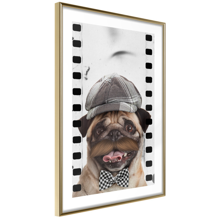 Wall Poster Pug in a Hat - funny fantasy with a mustached dog with a black and white bowtie 116361 additionalImage 6