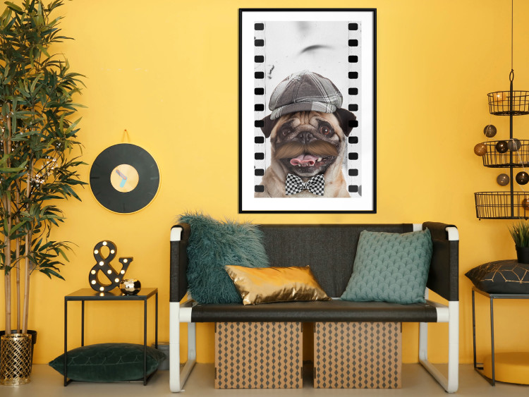 Wall Poster Pug in a Hat - funny fantasy with a mustached dog with a black and white bowtie 116361 additionalImage 4