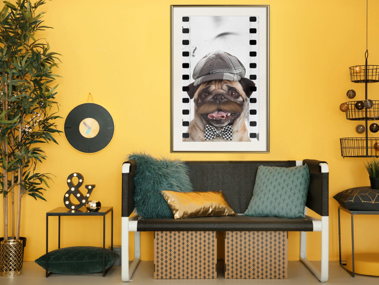 Wall Poster Pug in a Hat - funny fantasy with a mustached dog with a black and white bowtie 116361 additionalImage 21