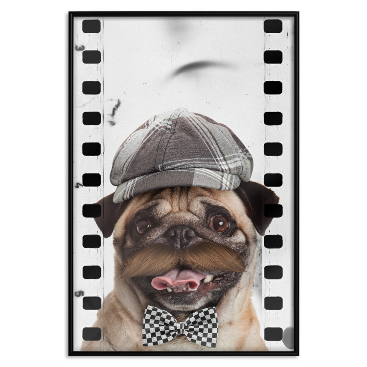 Wall Poster Pug in a Hat - funny fantasy with a mustached dog with a black and white bowtie 116361 additionalImage 18