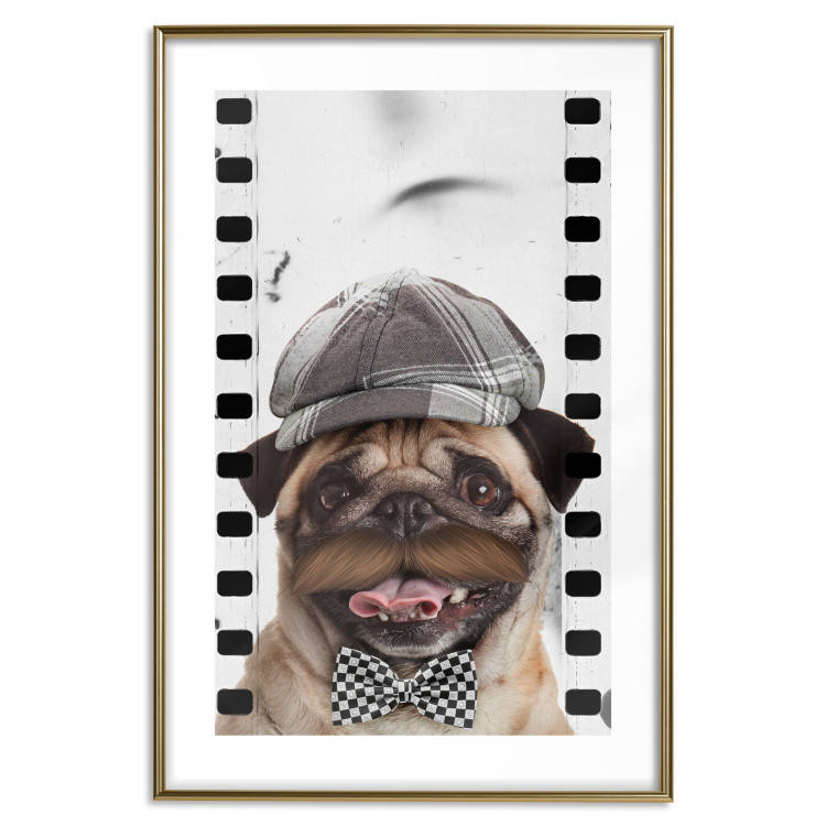 Wall Poster Pug in a Hat - funny fantasy with a mustached dog with a black and white bowtie 116361 additionalImage 16