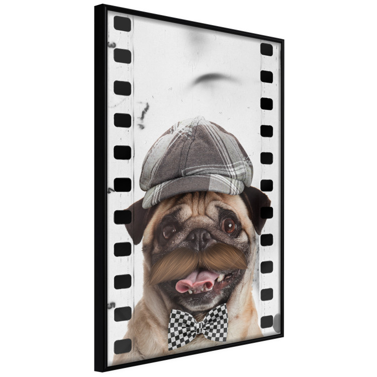 Wall Poster Pug in a Hat - funny fantasy with a mustached dog with a black and white bowtie 116361 additionalImage 10
