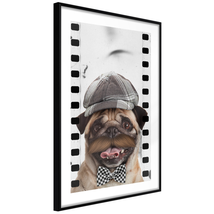 Wall Poster Pug in a Hat - funny fantasy with a mustached dog with a black and white bowtie 116361 additionalImage 11