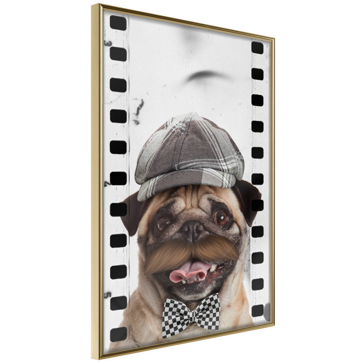 Wall Poster Pug in a Hat - funny fantasy with a mustached dog with a black and white bowtie 116361 additionalImage 14