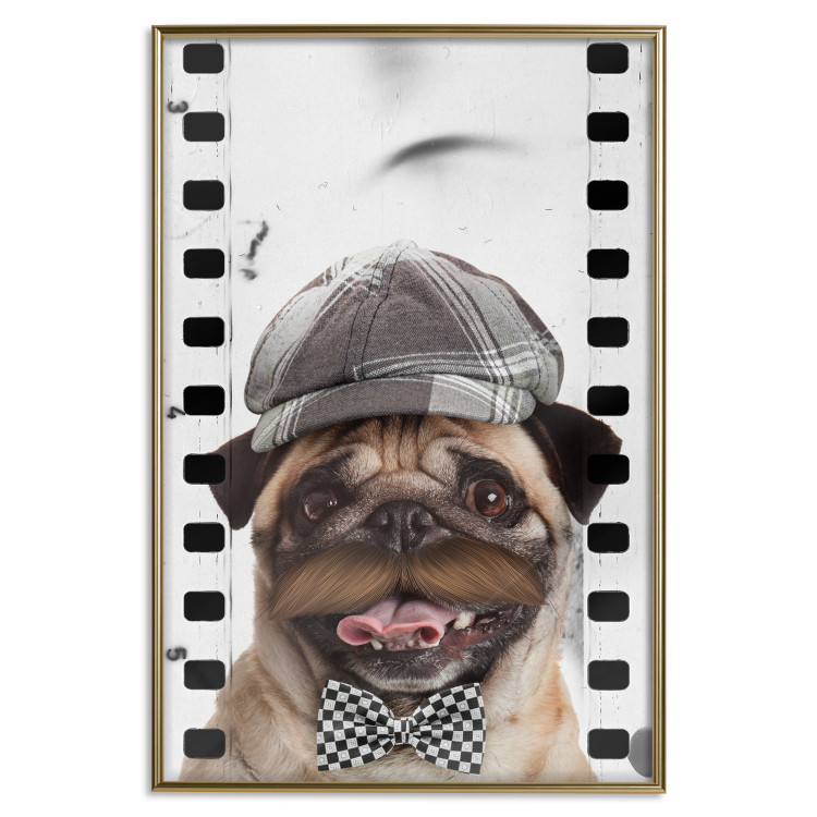 Wall Poster Pug in a Hat - funny fantasy with a mustached dog with a black and white bowtie 116361 additionalImage 16