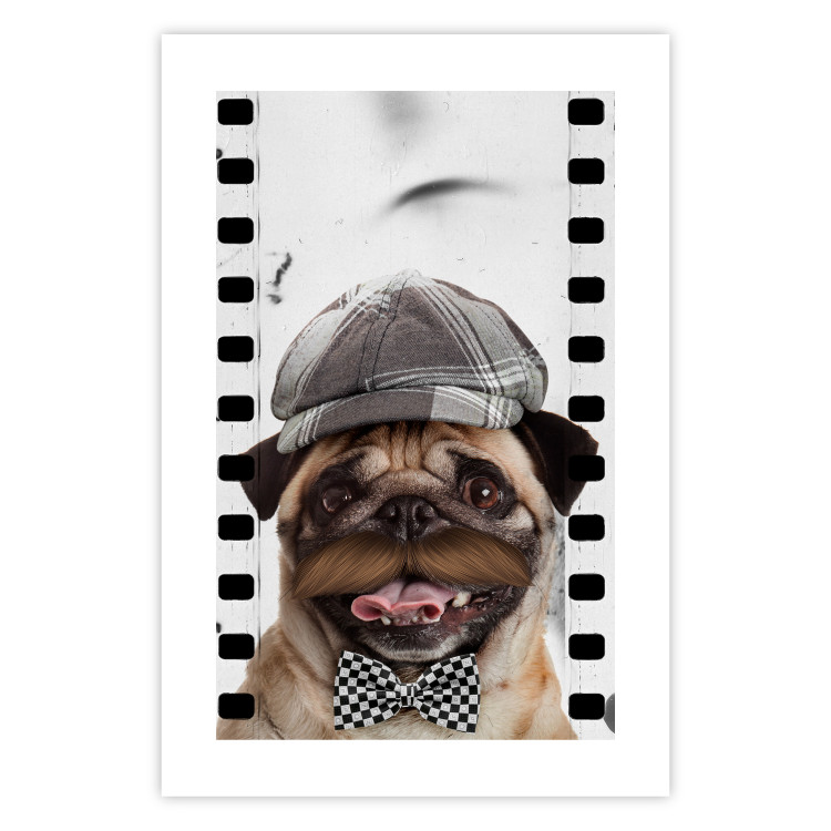Wall Poster Pug in a Hat - funny fantasy with a mustached dog with a black and white bowtie 116361 additionalImage 19