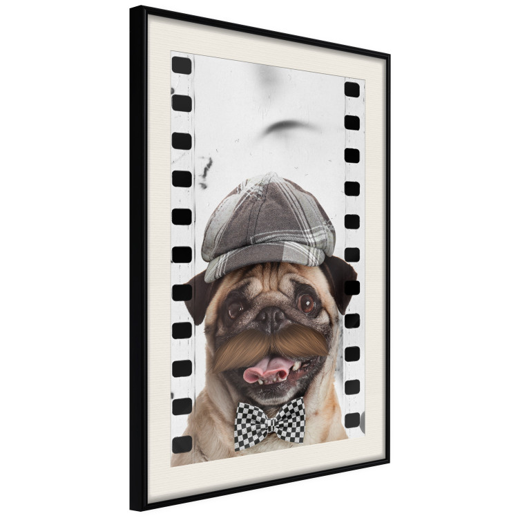 Wall Poster Pug in a Hat - funny fantasy with a mustached dog with a black and white bowtie 116361 additionalImage 3