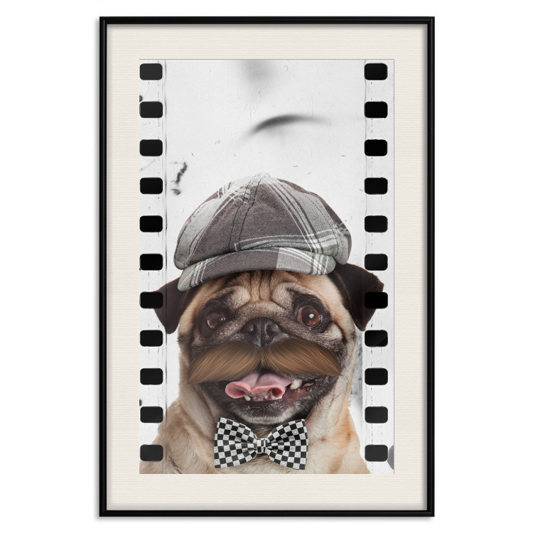 Wall Poster Pug in a Hat - funny fantasy with a mustached dog with a black and white bowtie 116361 additionalImage 18