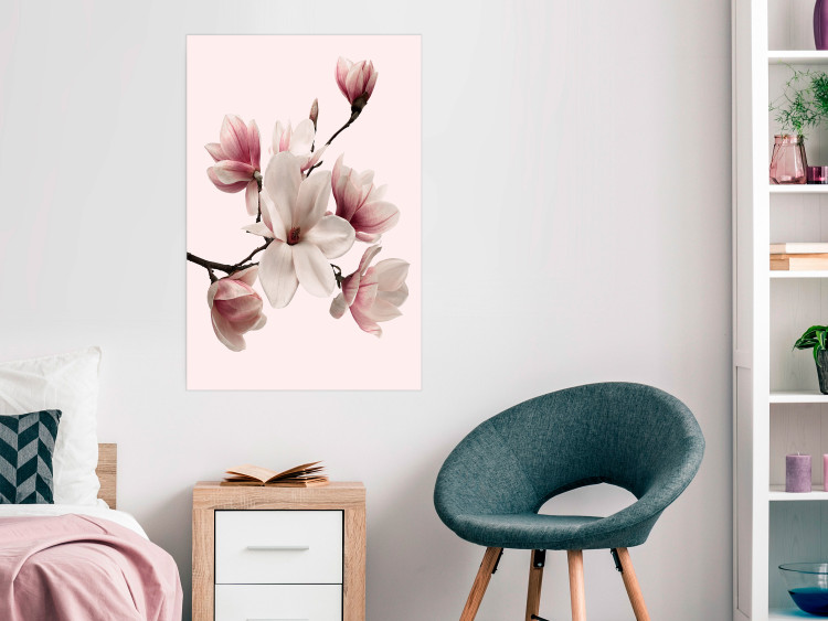 Wall Poster Delicate Magnolias - composition with light pink flowers on a pastel background 117161 additionalImage 17