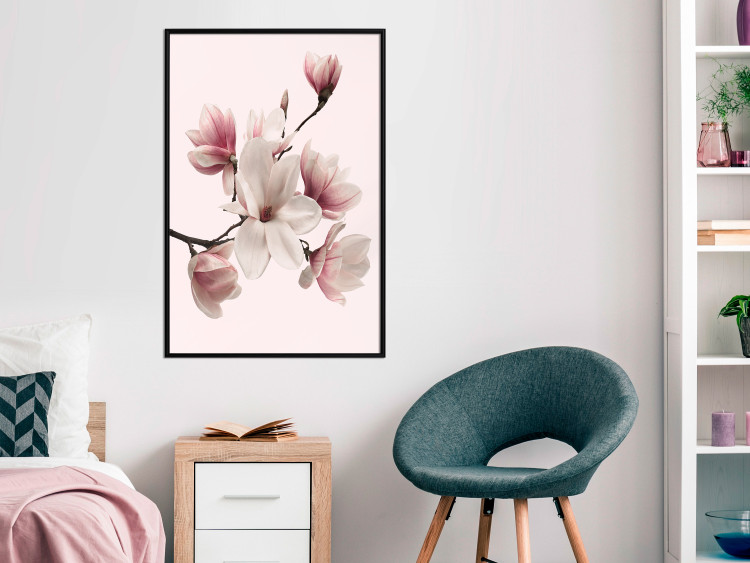 Wall Poster Delicate Magnolias - composition with light pink flowers on a pastel background 117161 additionalImage 3