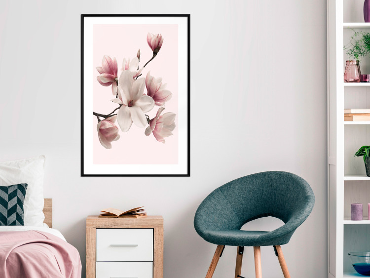 Wall Poster Delicate Magnolias - composition with light pink flowers on a pastel background 117161 additionalImage 4