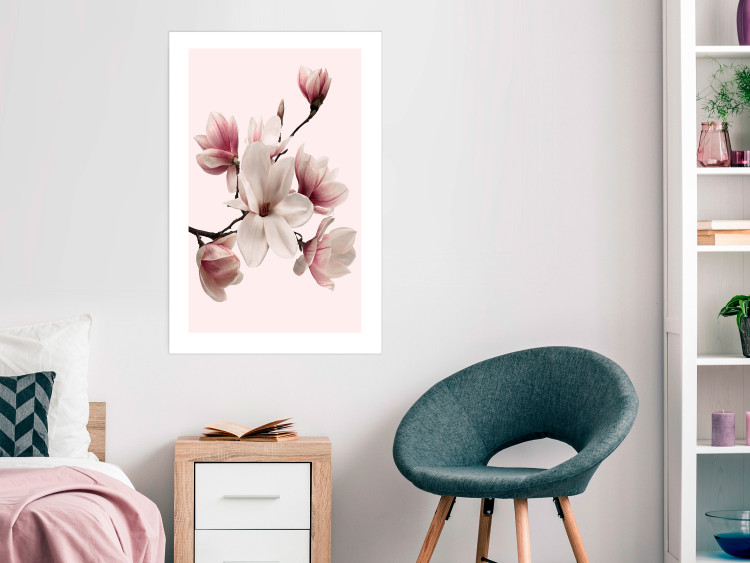 Wall Poster Delicate Magnolias - composition with light pink flowers on a pastel background 117161 additionalImage 2