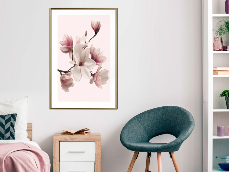 Wall Poster Delicate Magnolias - composition with light pink flowers on a pastel background 117161 additionalImage 13