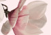 Wall Poster Delicate Magnolias - composition with light pink flowers on a pastel background 117161 additionalThumb 8