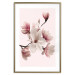 Wall Poster Delicate Magnolias - composition with light pink flowers on a pastel background 117161 additionalThumb 14