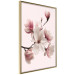 Wall Poster Delicate Magnolias - composition with light pink flowers on a pastel background 117161 additionalThumb 12