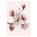 Wall Poster Delicate Magnolias - composition with light pink flowers on a pastel background 117161