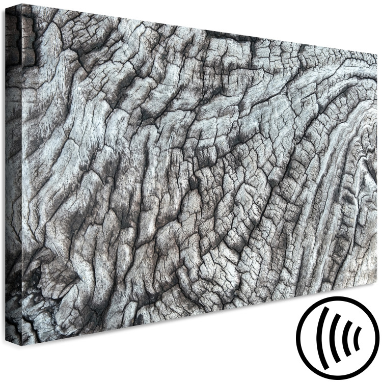 Canvas Tree bark - the structure of nature in monochrome gray 117761 additionalImage 6