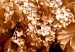 Wall Poster End of August - plant flowers and leaves in autumn sepia tone 123861 additionalThumb 11