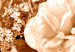 Wall Poster End of August - plant flowers and leaves in autumn sepia tone 123861 additionalThumb 10