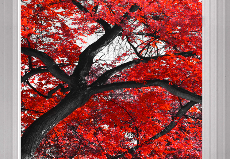 Canvas Art Print Red Maple (1 Part) Wide 124361 additionalImage 4