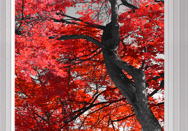 Canvas Art Print Red Maple (1 Part) Wide 124361 additionalImage 5